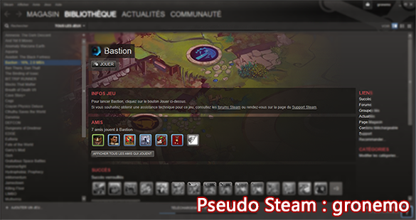 Téléchargement : Bastion (PC – Steam)
